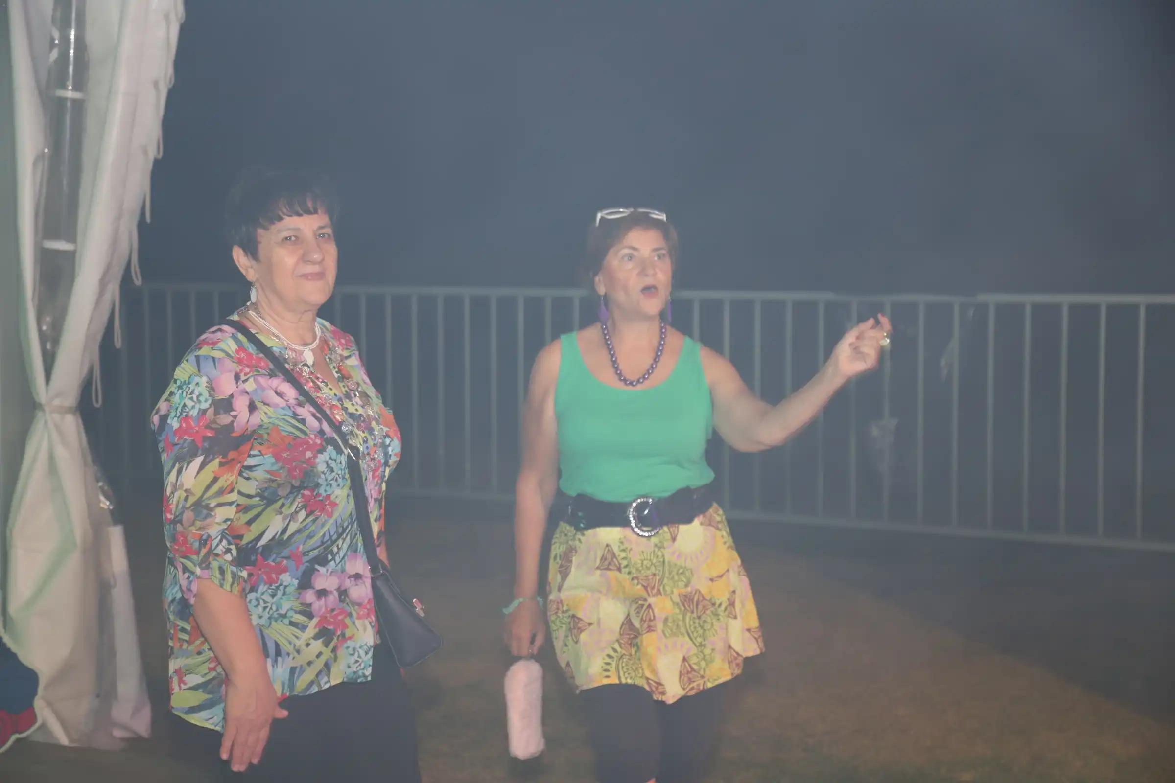 Pribislavec party (32) Pribislavec party (32)