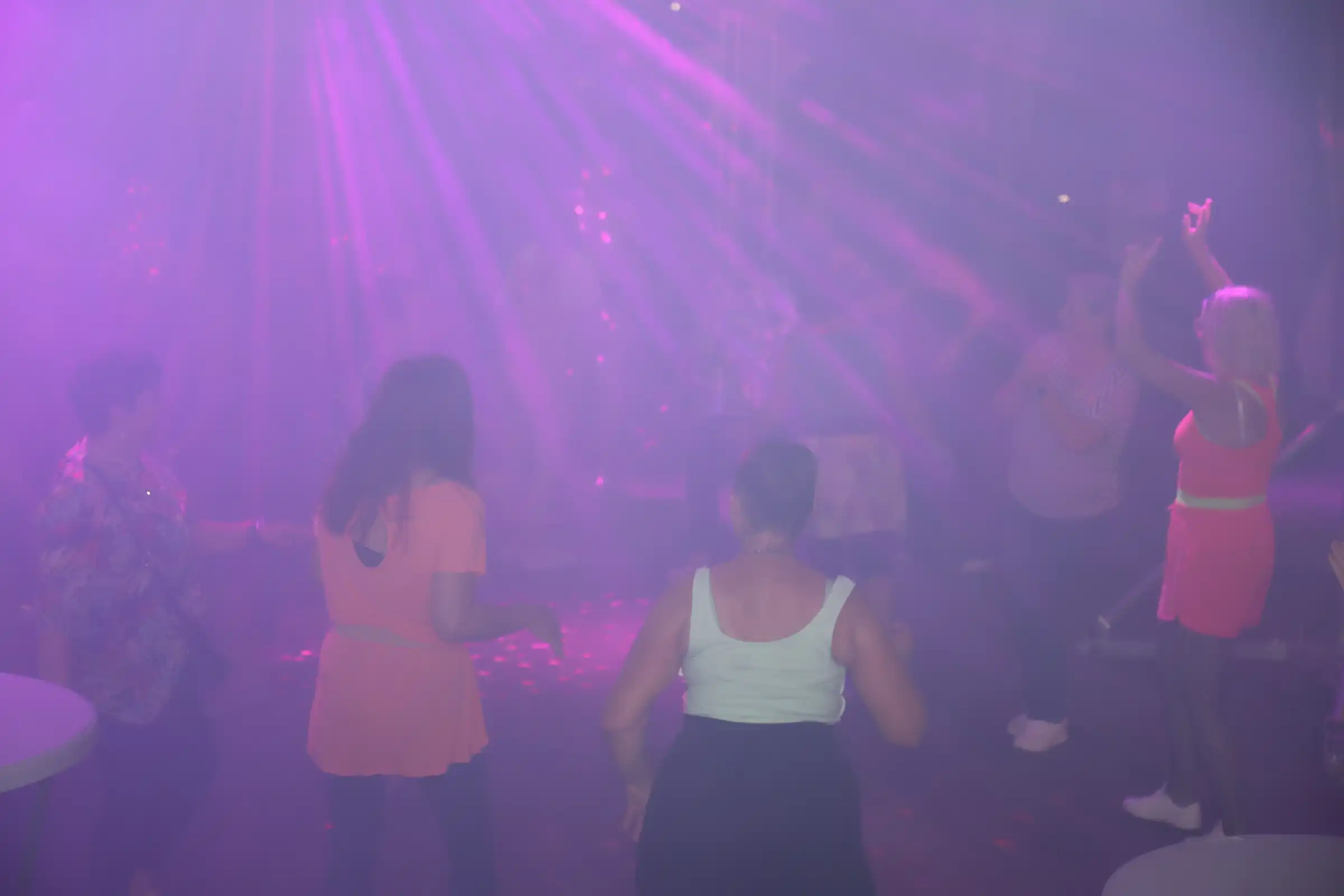 Pribislavec party (34) Pribislavec party (34)