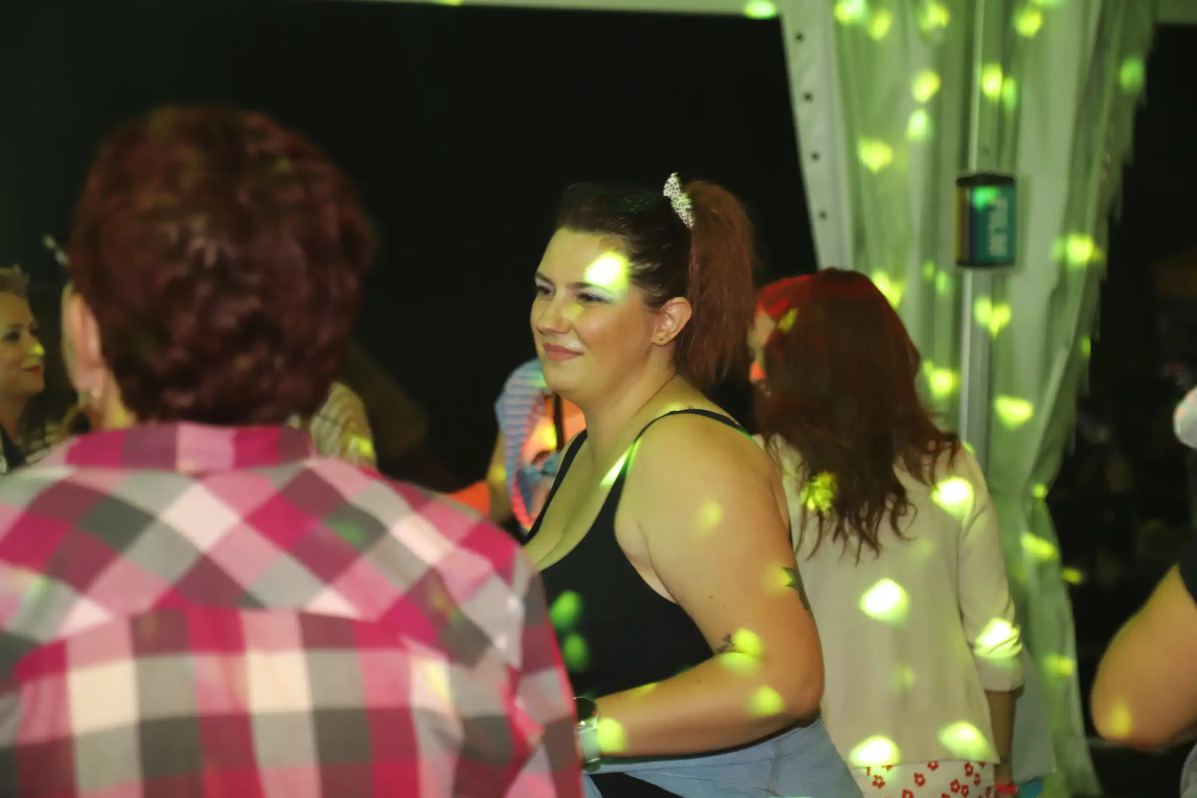 Pribislavec party (38) Pribislavec party (38)