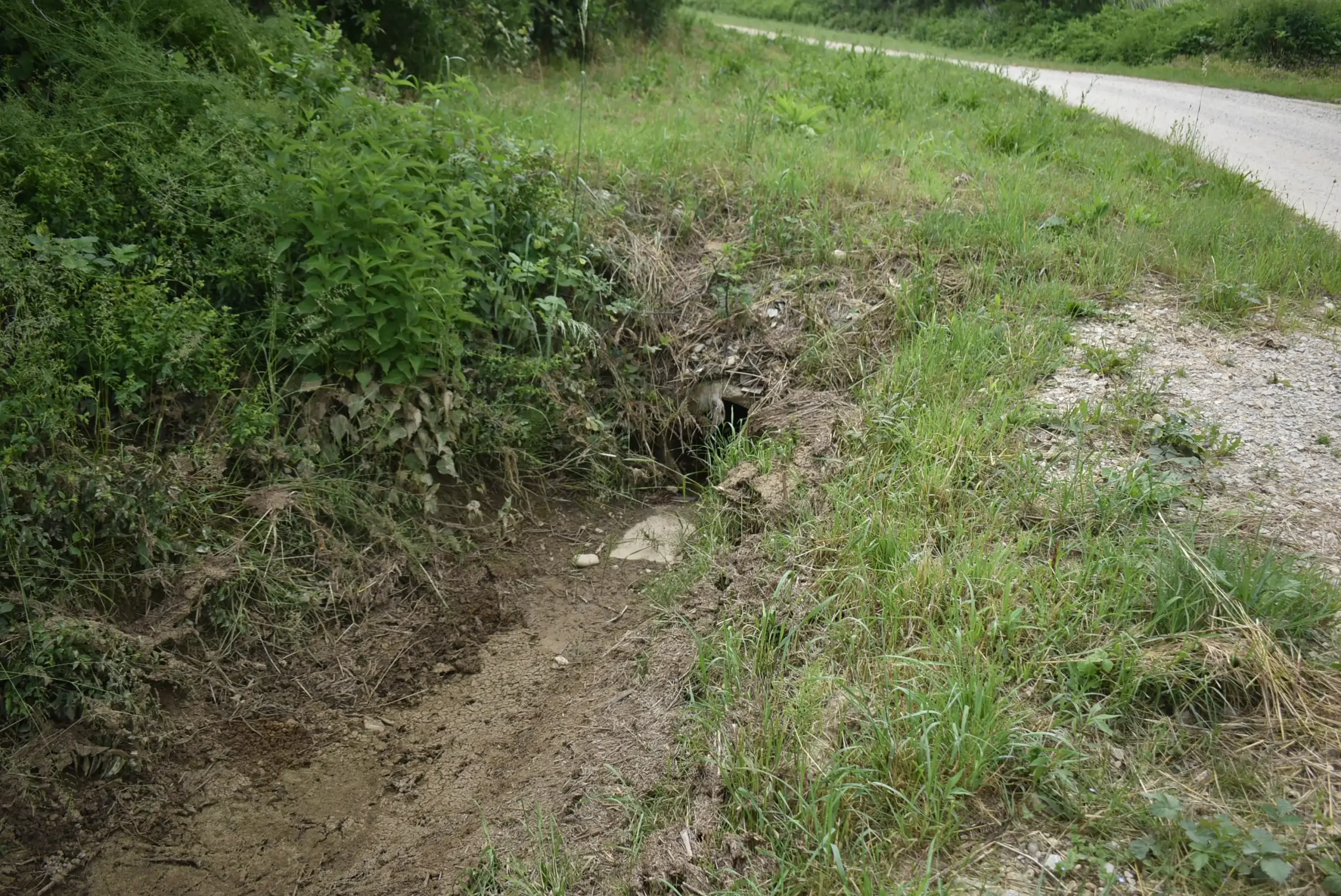 Pribislvec – poplava i blato u centru (4) Pribislvec – poplava i blato u centru (4)