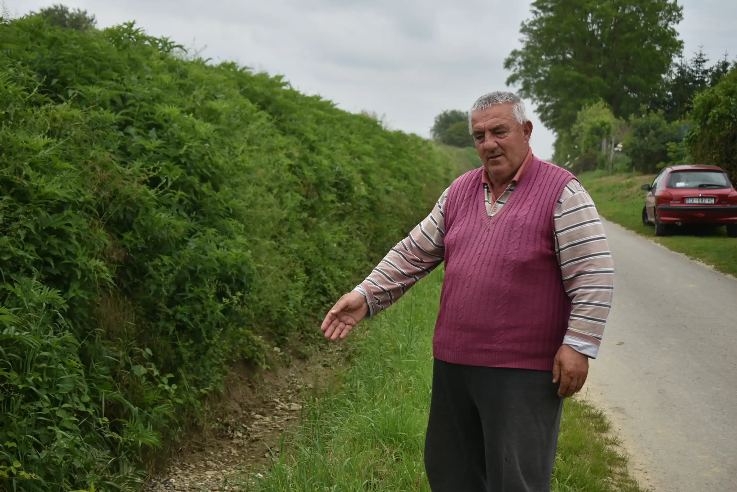 Mladen Braniša – Pribislavec Mladen Braniša – Pribislavec