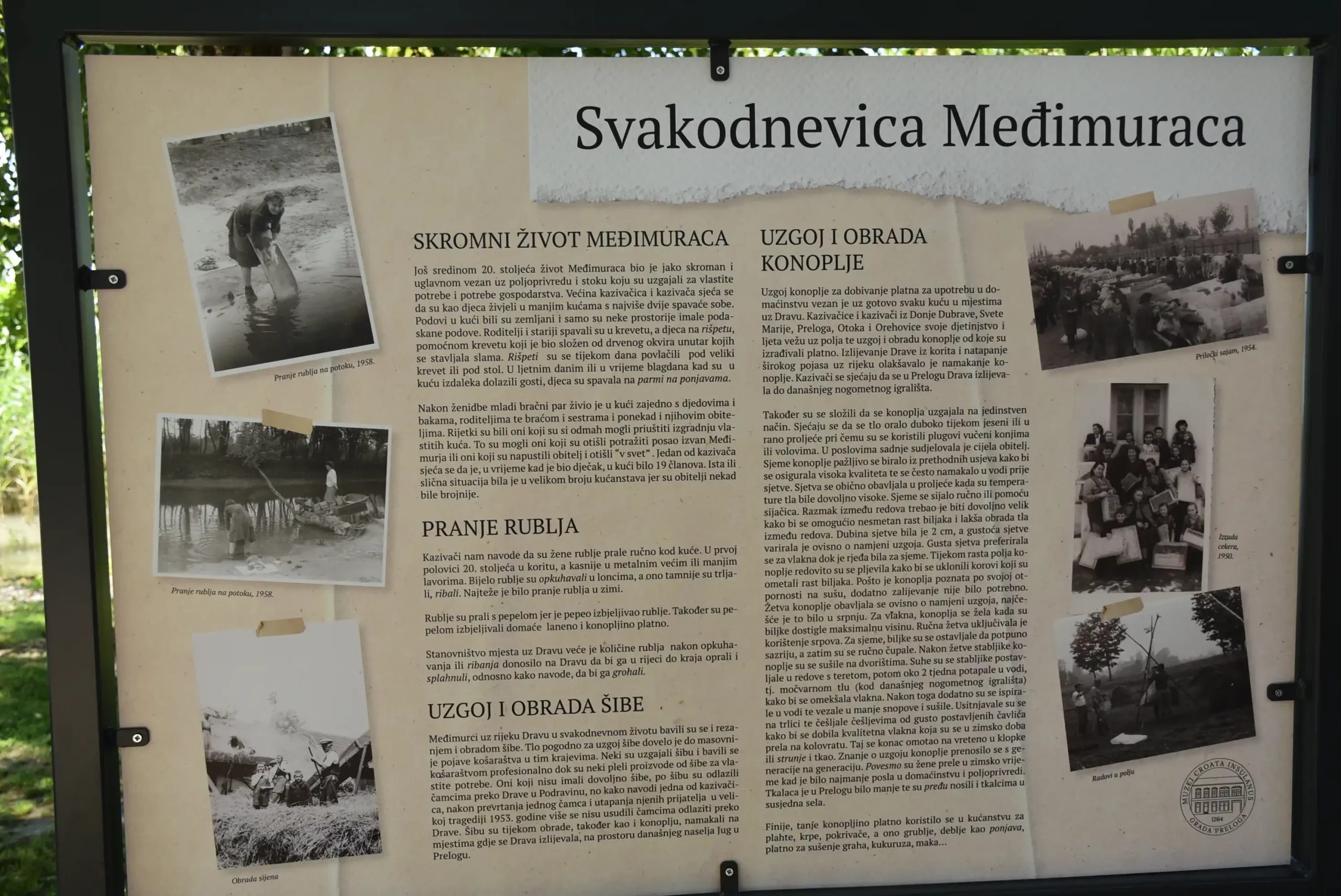 Priče s klupice, Marina Prelog (7)