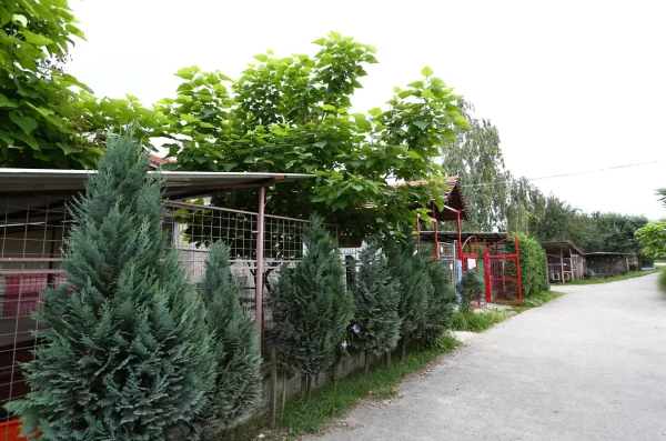 Prijatelji životinja i prirode – sklonište (azil) za životinje