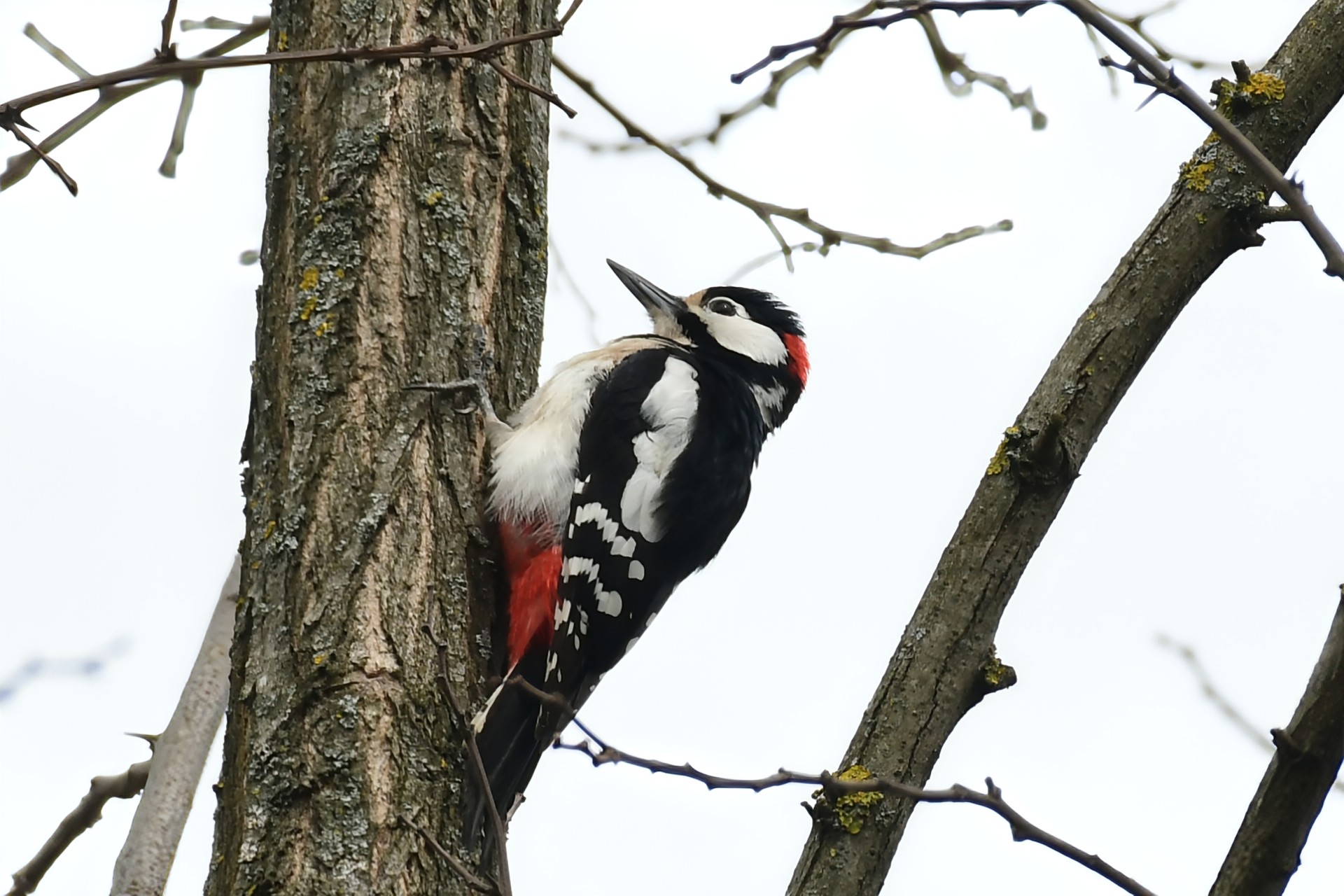 Priroda se budi, Danijel Mikolaj 2025 (25)