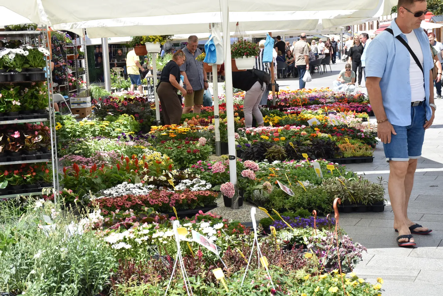 Proljetni sajam, Čakovec, 31.5.2025 (102)