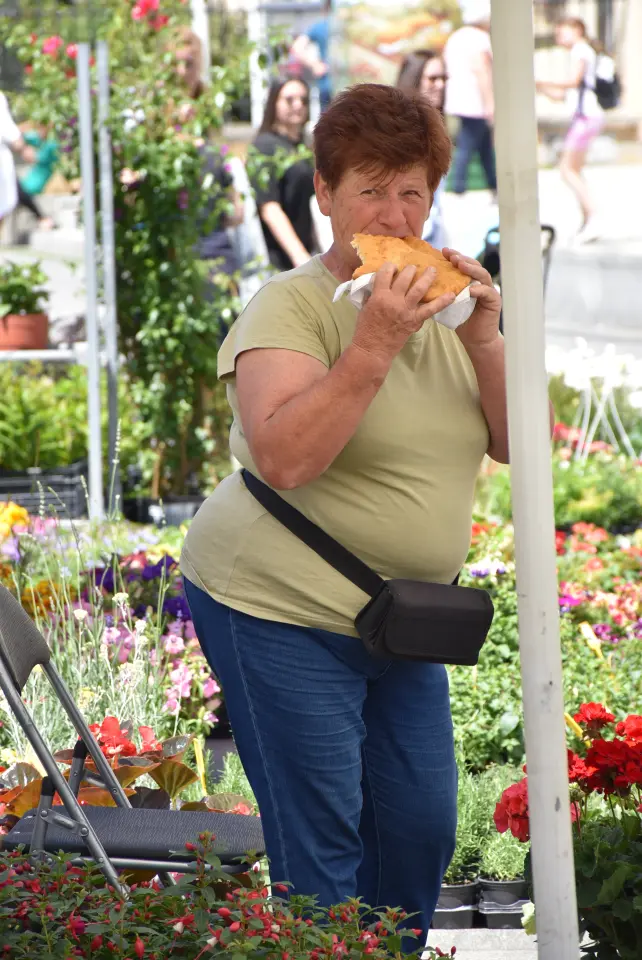 Proljetni sajam, Čakovec, 31.5.2025 (103)