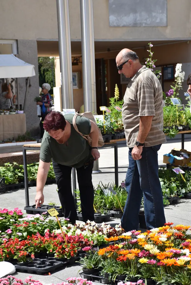 Proljetni sajam, Čakovec, 31.5.2025 (105)
