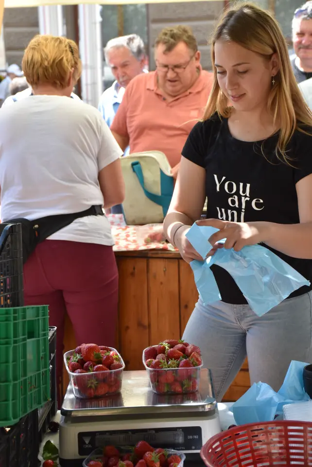 Proljetni sajam, Čakovec, 31.5.2025 (107)