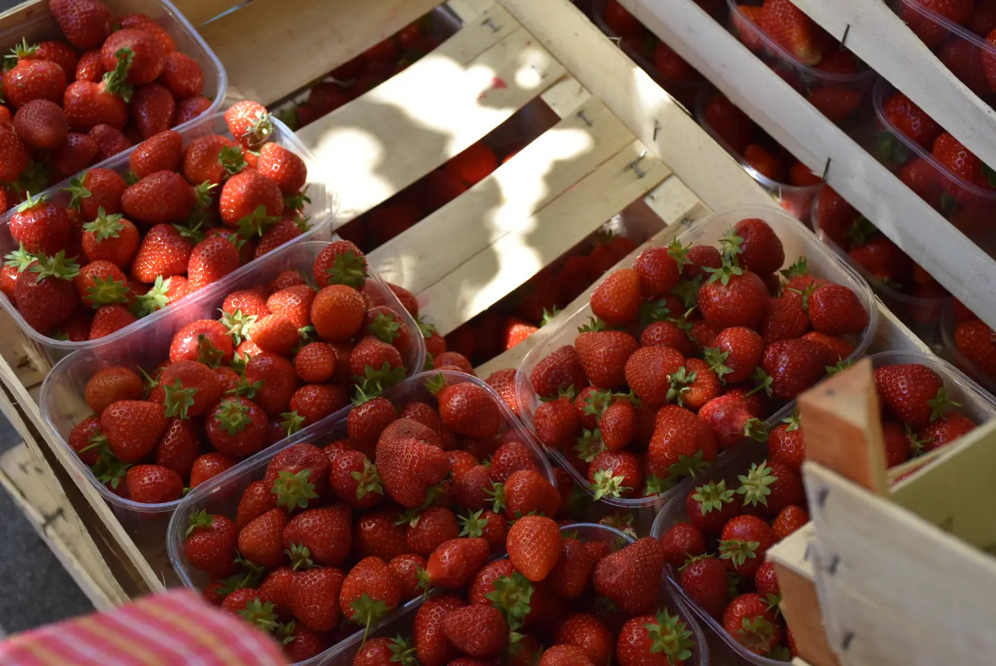 Proljetni sajam, Čakovec, 31.5.2025 (109)