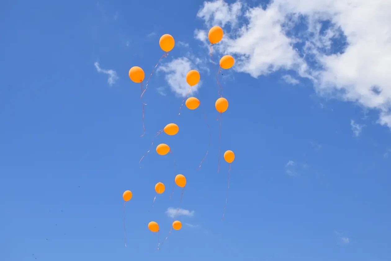 Proljetni sajam, Čakovec, 31.5.2025 (117)