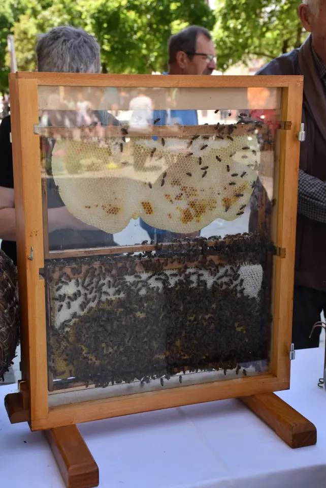 Proljetni sajam, Čakovec, 31.5.2025 (19)