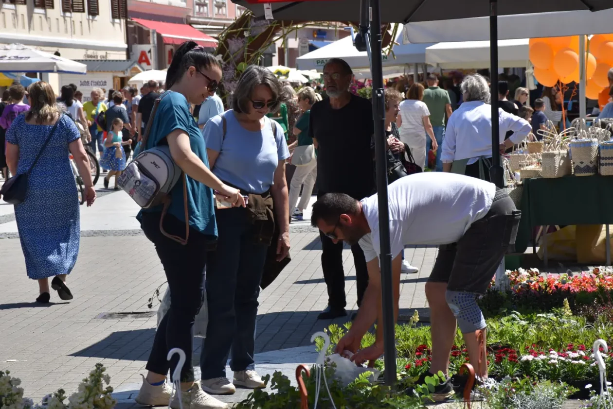 Proljetni sajam, Čakovec, 31.5.2025 (2)