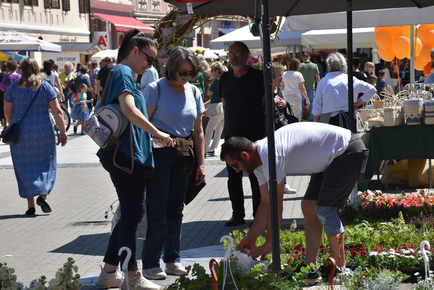 Proljetni sajam, Čakovec, 31.5.2025 (2)