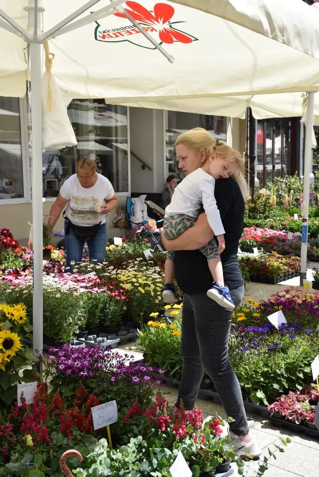 Proljetni sajam, Čakovec, 31.5.2025 (60)