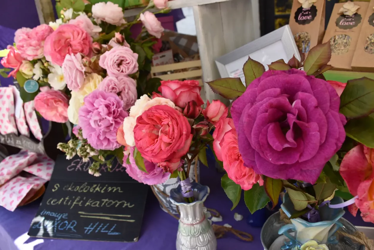 Proljetni sajam, Čakovec, 31.5.2025 (67)