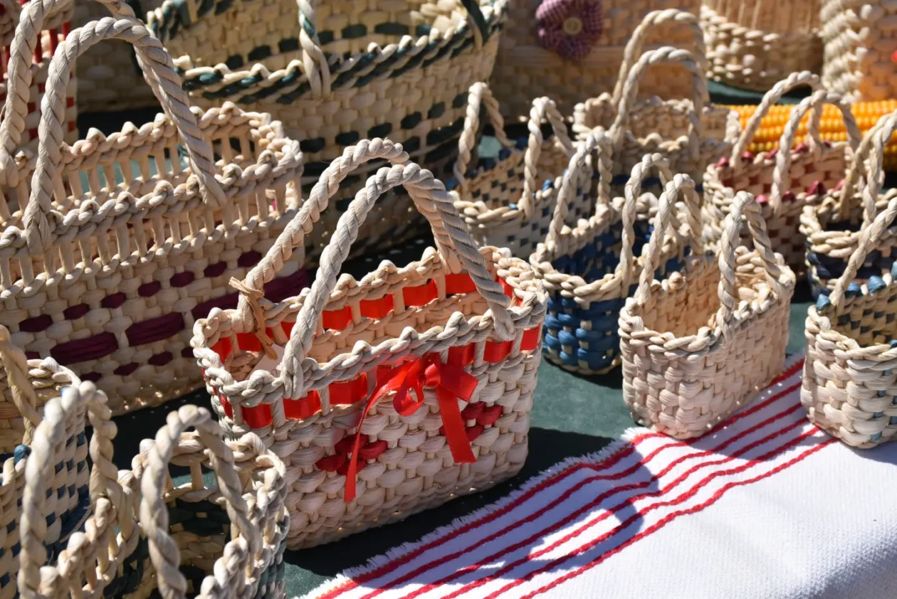 Proljetni sajam, Čakovec, 31.5.2025 (7)