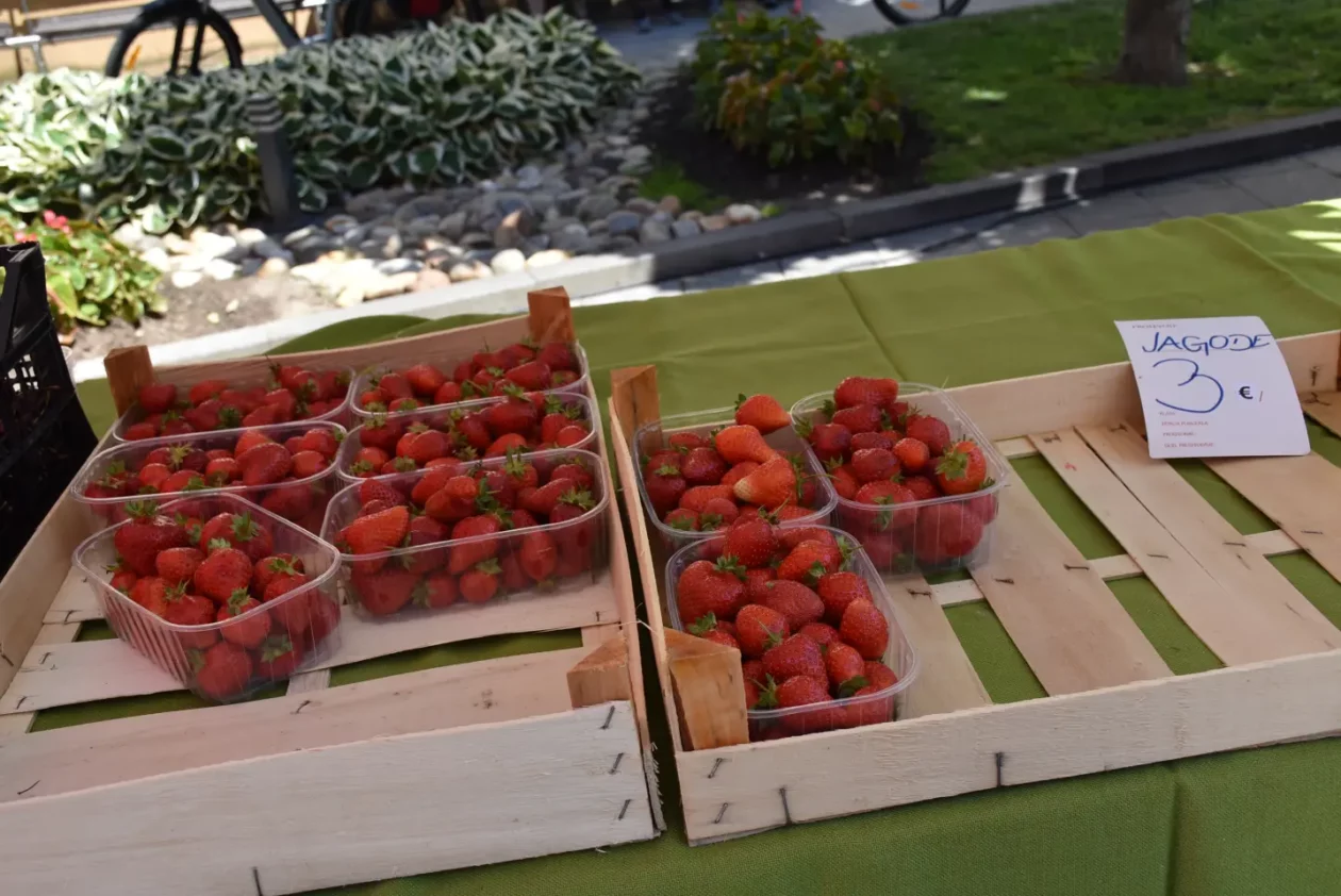 Proljetni sajam, Čakovec, 31.5.2025 (90)