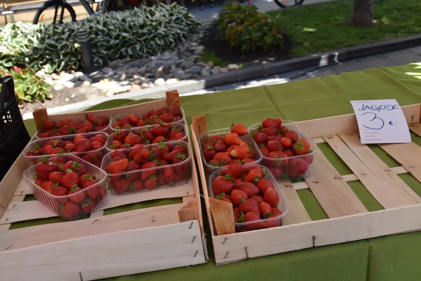 Proljetni sajam, Čakovec, 31.5.2025 (90)