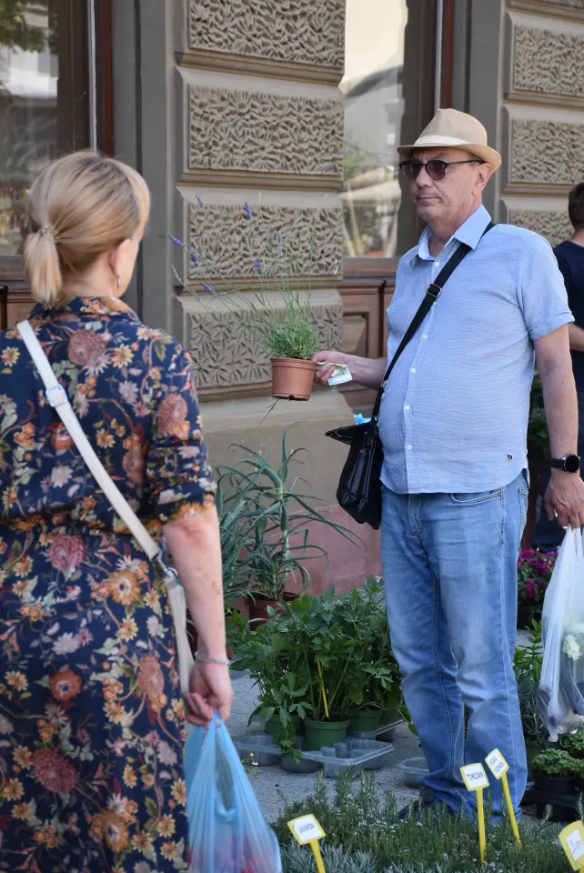 Proljetni sajam, Čakovec, 31.5.2025 (91)