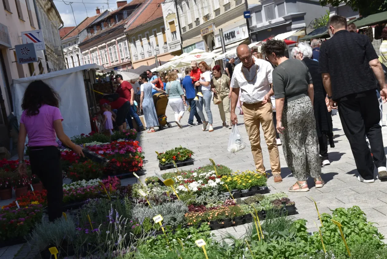 Proljetni sajam, Čakovec, 31.5.2025 (92)