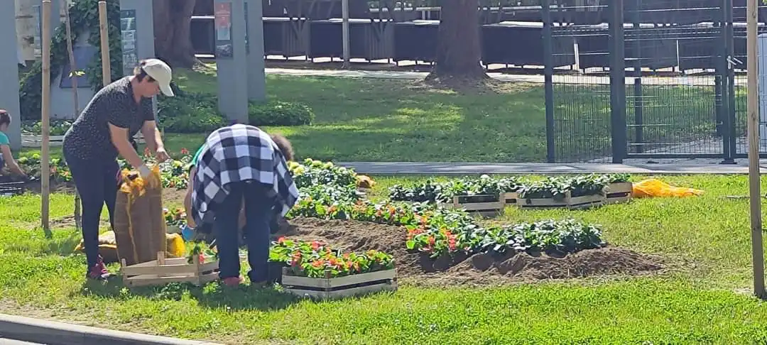 Proljetno uređenje Murskog Središća (3) Proljetno uređenje Murskog Središća (3)