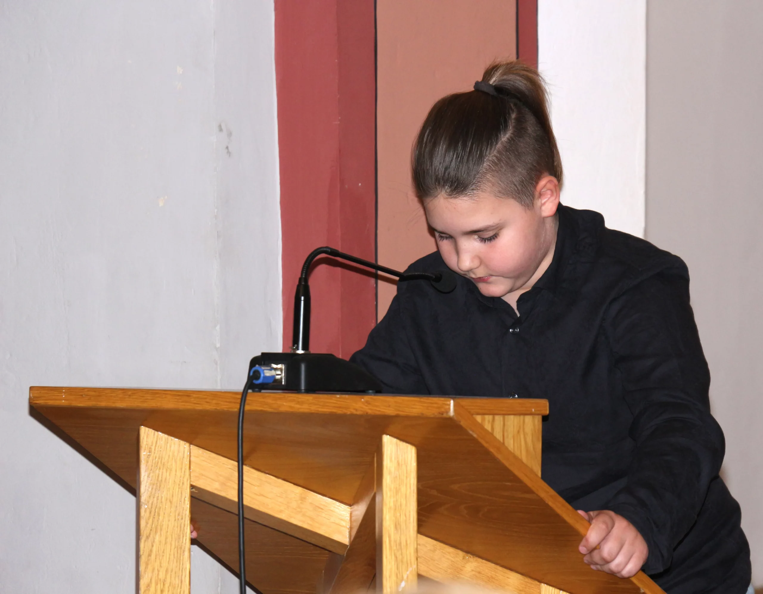 Promocija knjie Marije Novak (14) Promocija knjie Marije Novak (14)