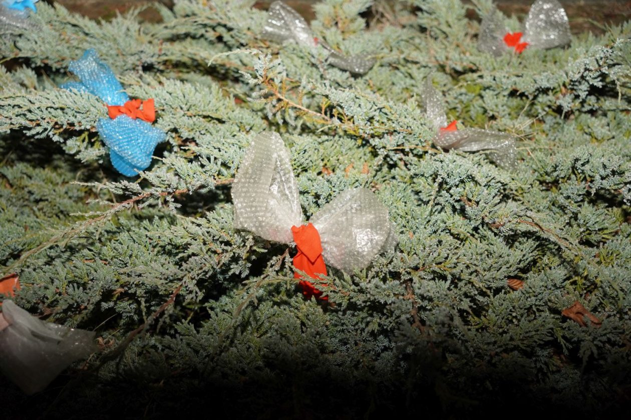 Prva advetska svijeća Dunjkovec (6)