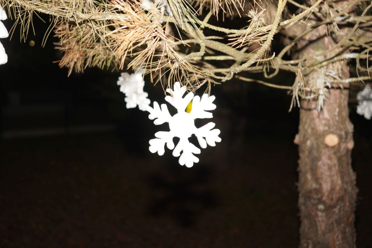 Prva advetska svijeća Dunjkovec (8)