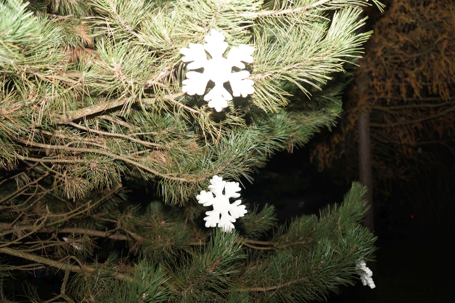 Prva advetska svijeća Dunjkovec (9) Prva advetska svijeća Dunjkovec (9)