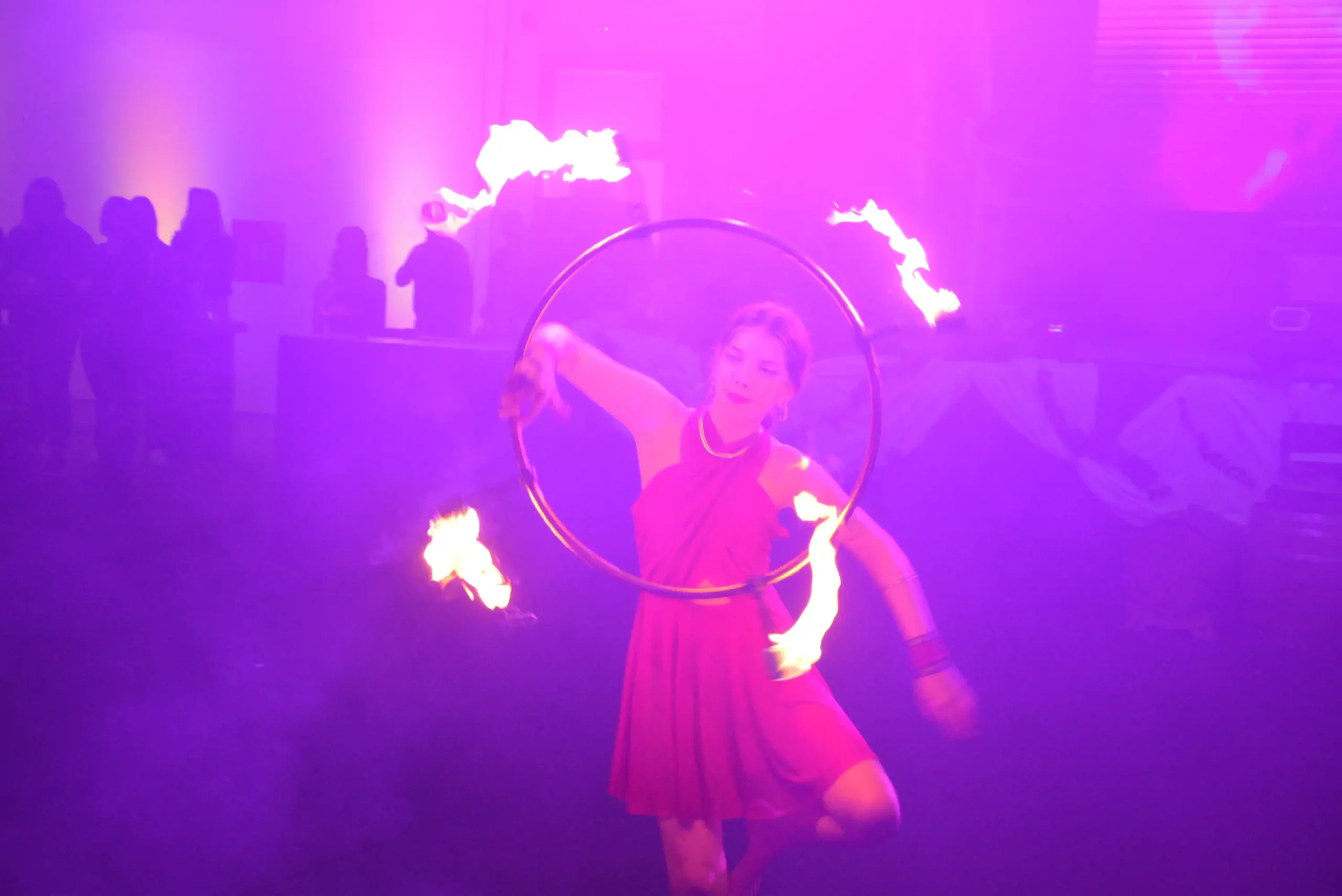 Prvi gin fest u Nedelišću (15) Prvi gin fest u Nedelišću (15)