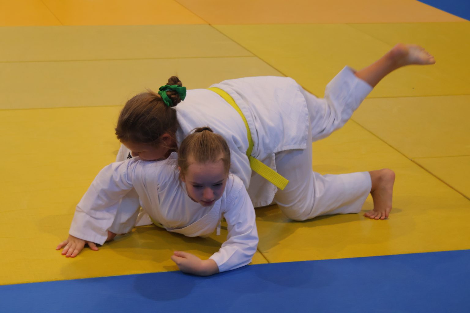Prvi judo turnir za osobe s poteškoćama (11)