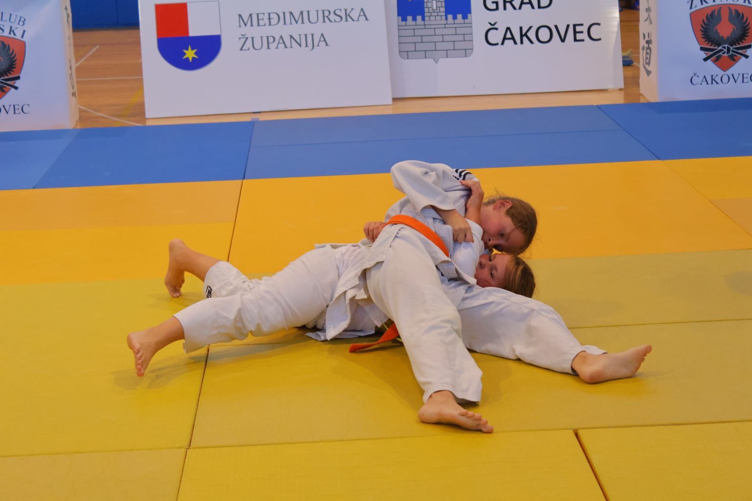Prvi judo turnir za osobe s poteškoćama (13)