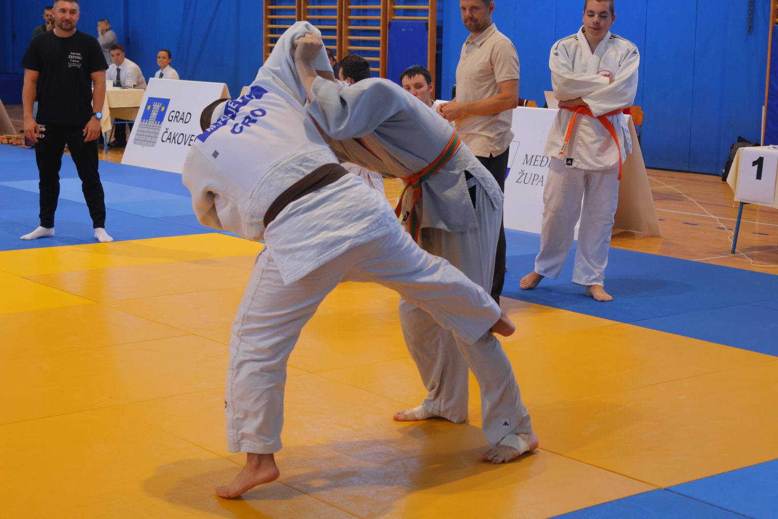 Prvi judo turnir za osobe s poteškoćama (27)