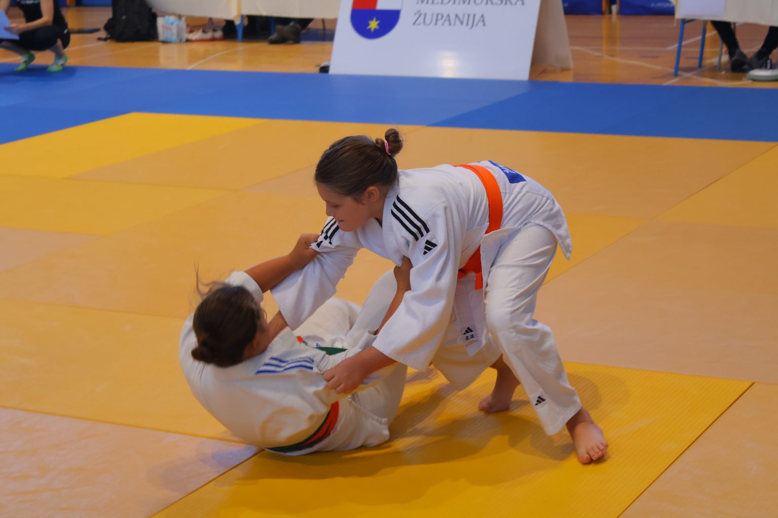 Prvi judo turnir za osobe s poteškoćama (34)