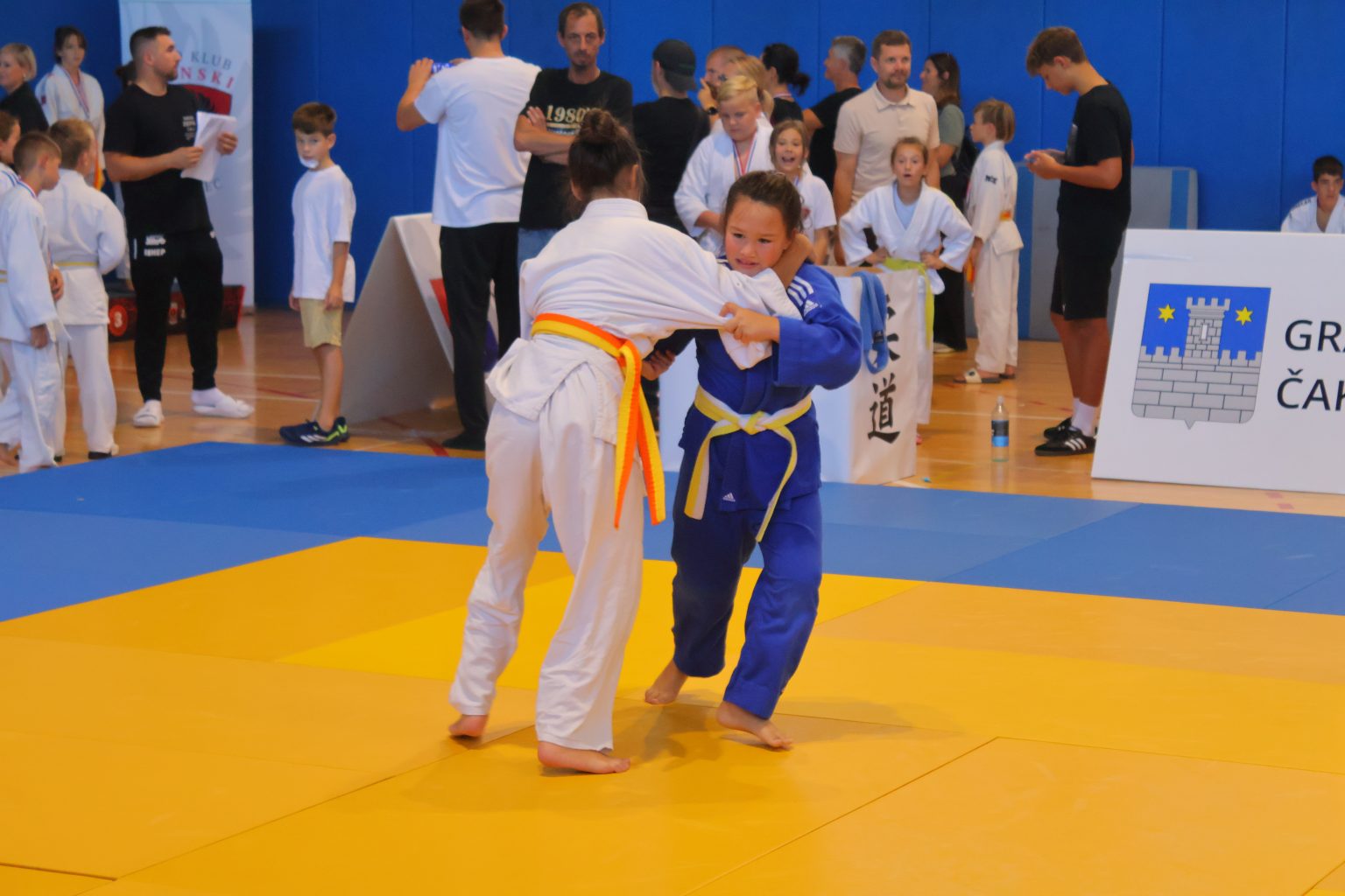 Prvi judo turnir za osobe s poteškoćama (4)
