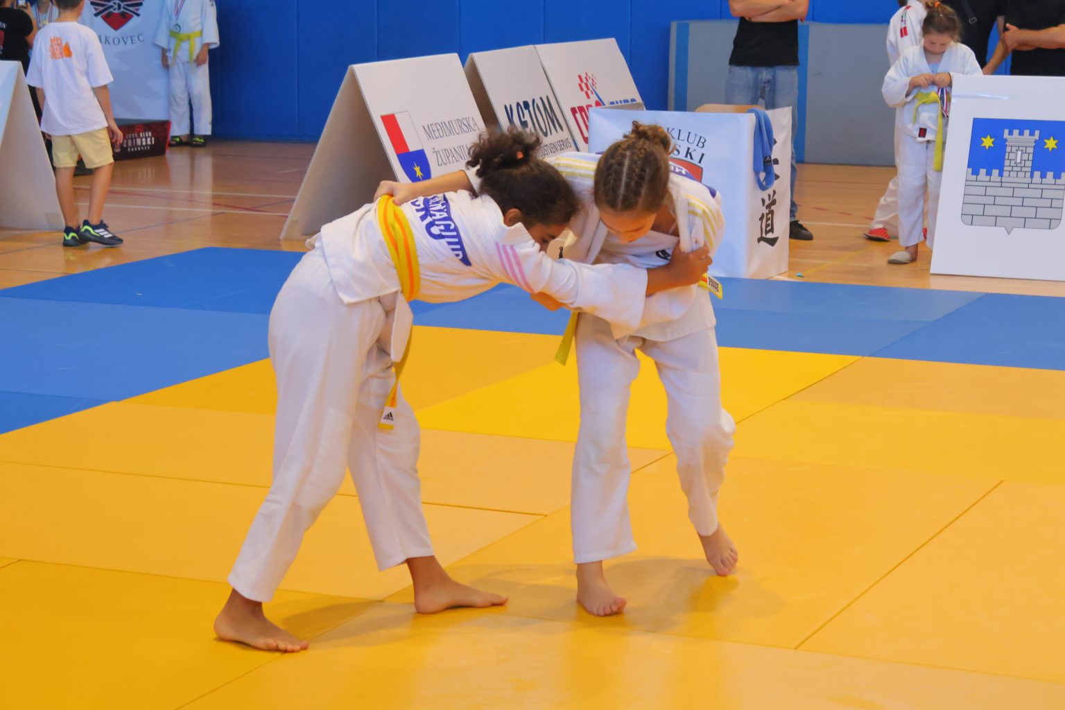 Prvi judo turnir za osobe s poteškoćama (5)