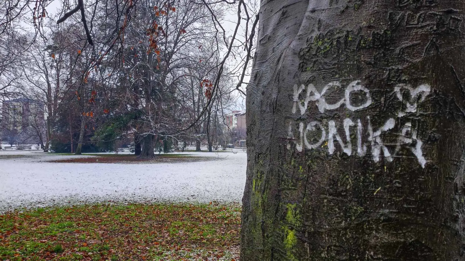 Prvi snijeg 2025., Perivoj Zrinskih, Čakovec (10)