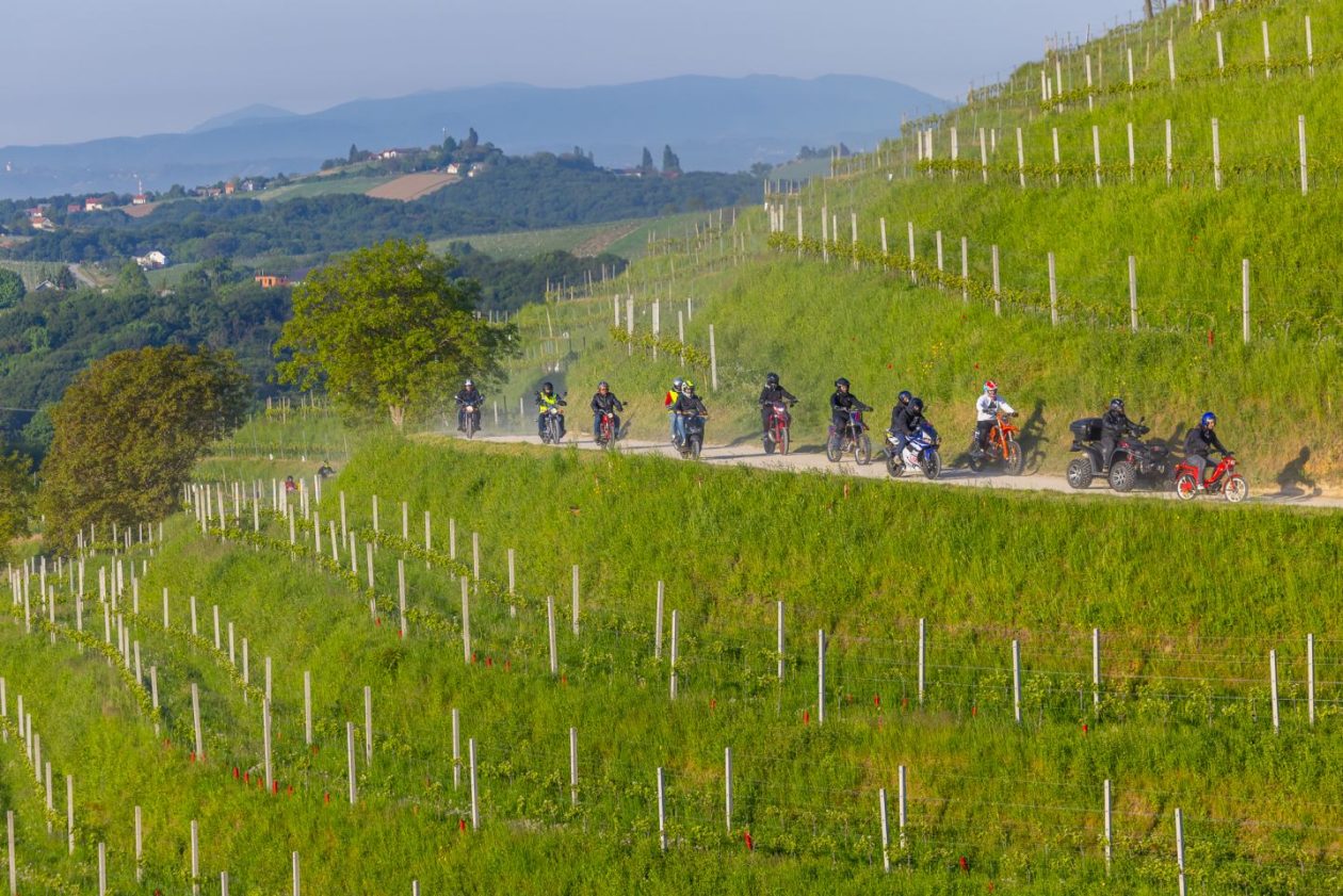 Prvomajska budnica u Štrigovi (3)