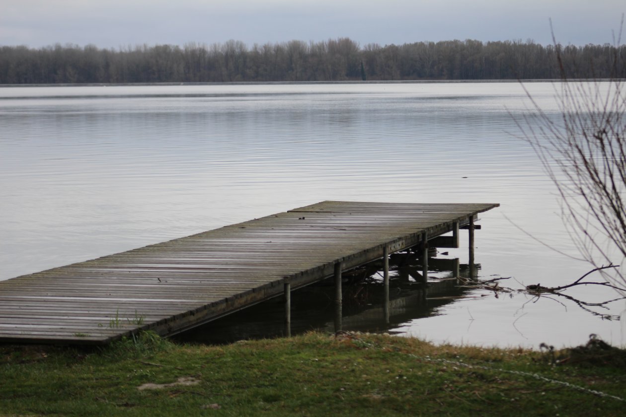 Ptice, priroda (3) Ptice, priroda (3)