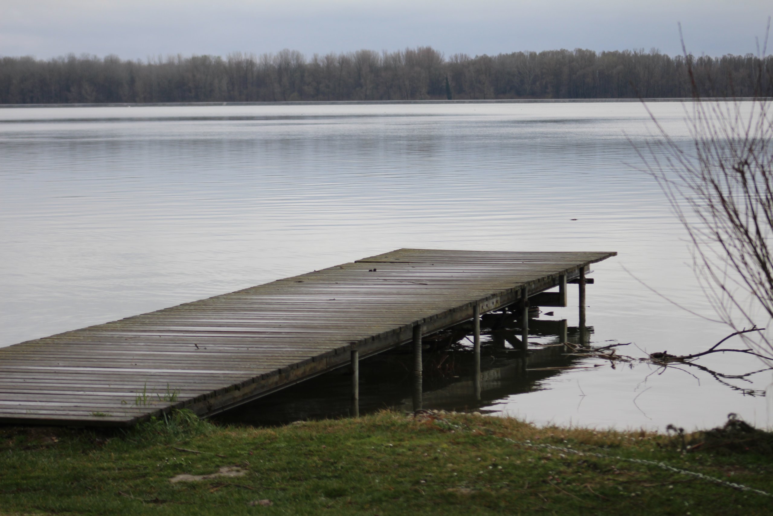 Ptice, priroda (3)