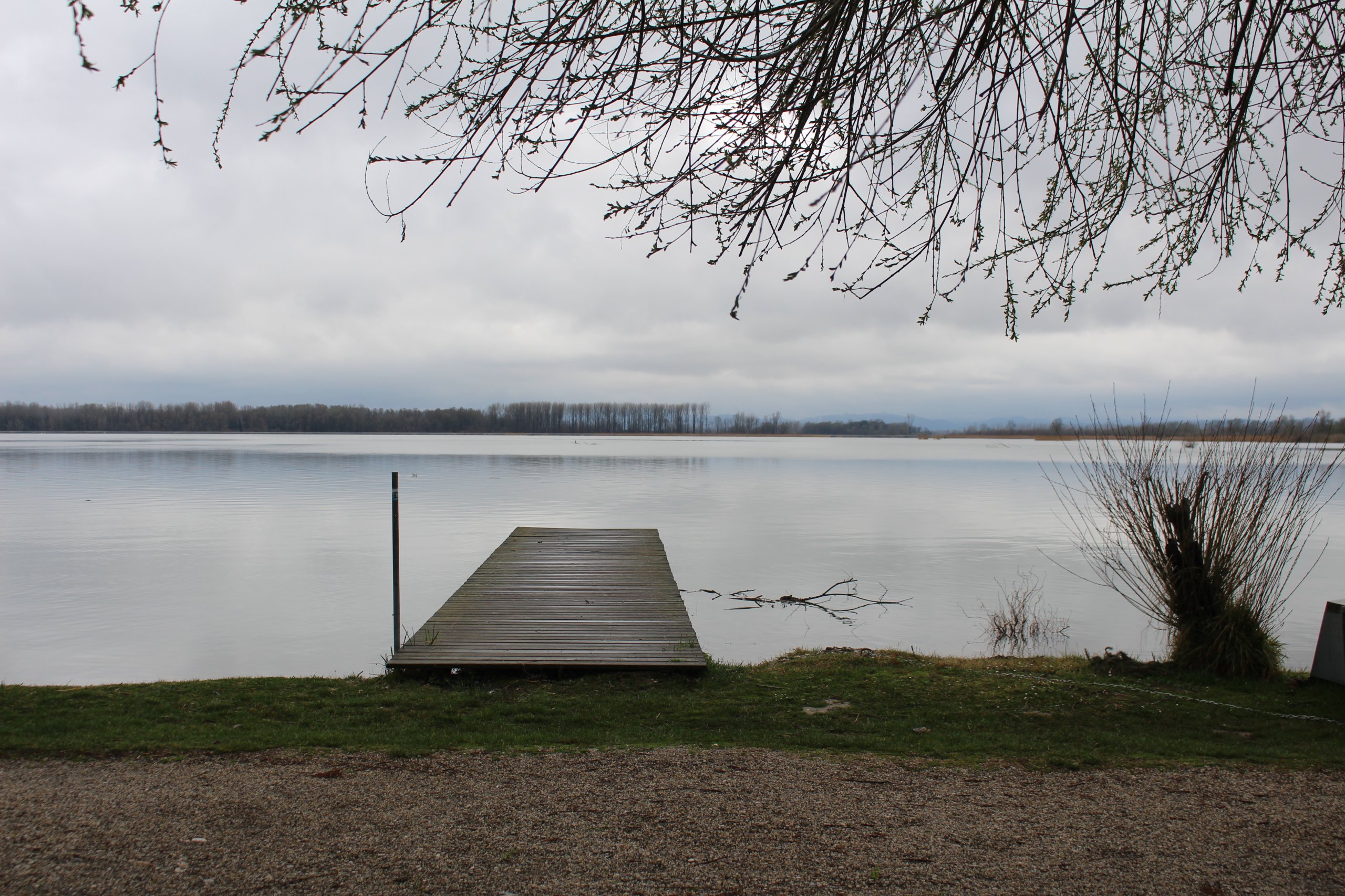 Ptice, priroda (4)