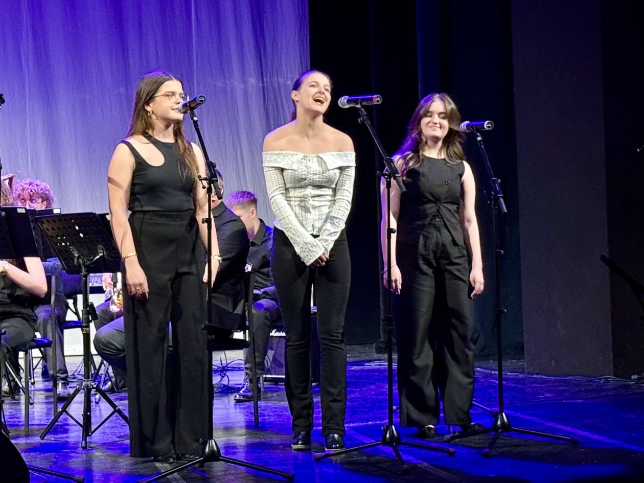 Puhački orkestar Gimnazije Josipa Slavenskog Čakovec – banda svira CZK (7)