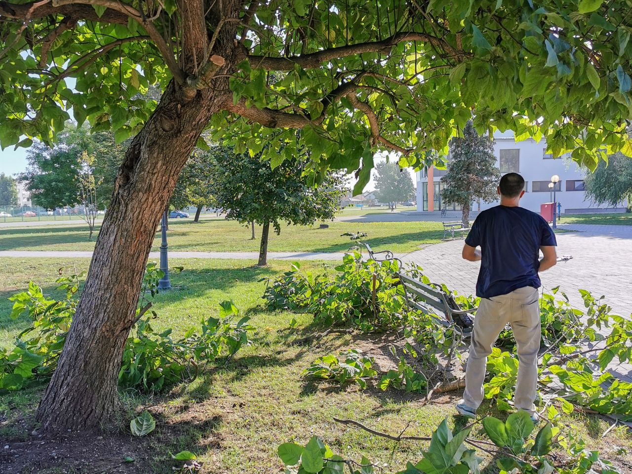 RADNA AKCIJA OŠ Prelog zablistala uoči povratka učenika Učitelji zasukali rukave za ljepšu školu (12) RADNA AKCIJA OŠ Prelog zablistala uoči povratka učenika Učitelji zasukali rukave za ljepšu školu (12)