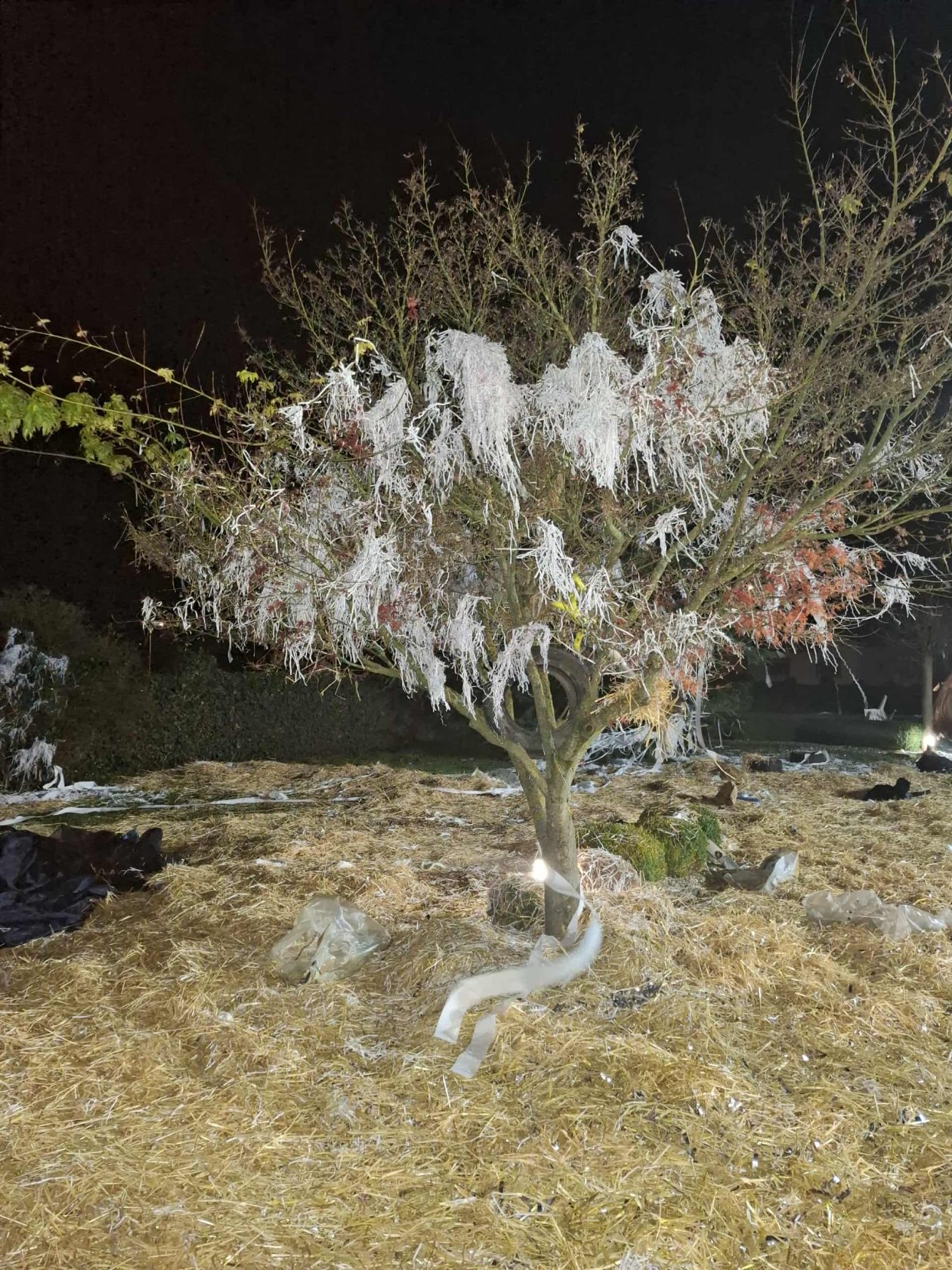 potepanje Novo Selo na Dravi