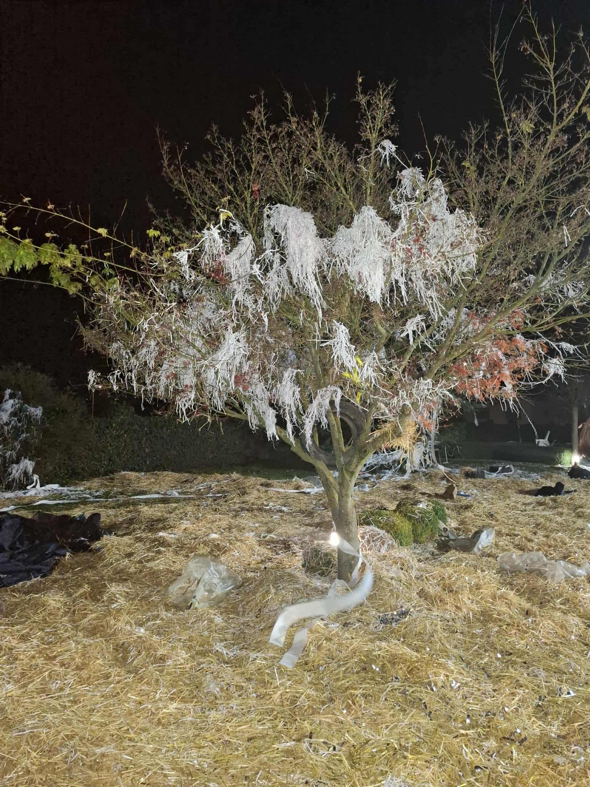 potepanje Novo Selo na Dravi