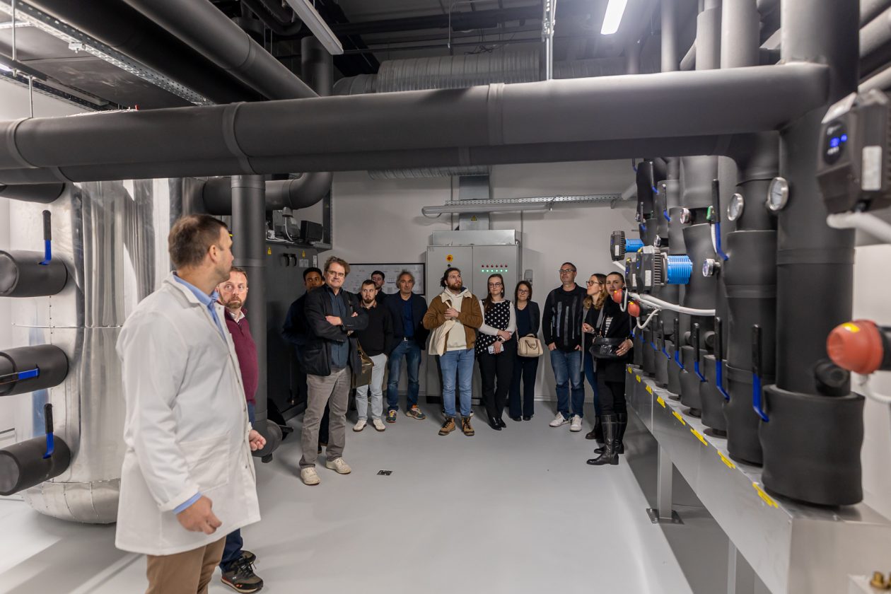 REDEA – za medije 14