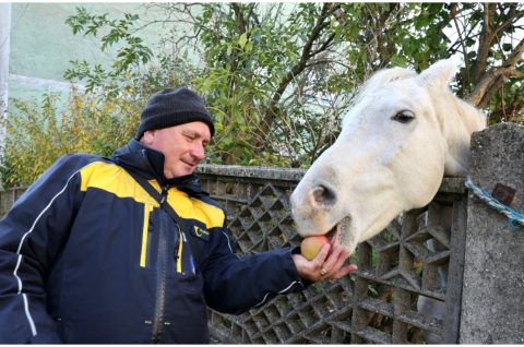 Radovan Črnčec (2)