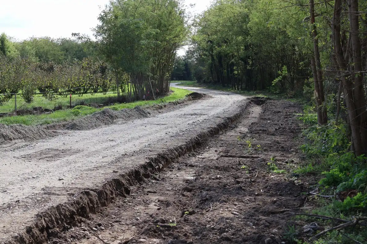 Radovi Cirkovljan . Čukovec (10) Radovi Cirkovljan . Čukovec (10)