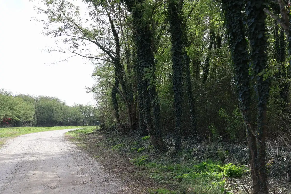 Radovi Cirkovljan . Čukovec (14) Radovi Cirkovljan . Čukovec (14)