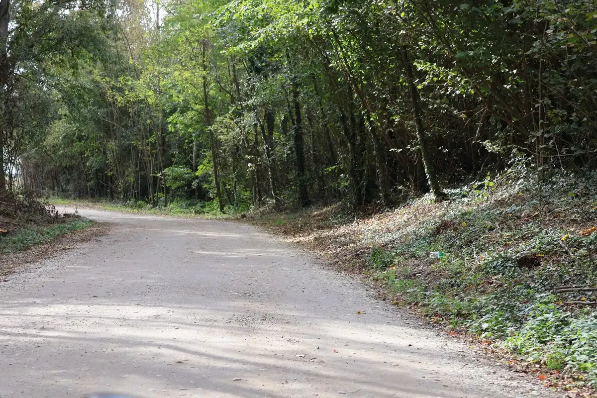 Radovi Cirkovljan . Čukovec (16) Radovi Cirkovljan . Čukovec (16)